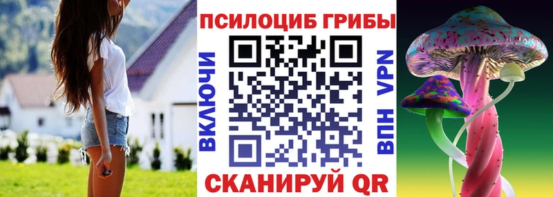 Галлюциногенные грибы Psilocybe  Холмск 