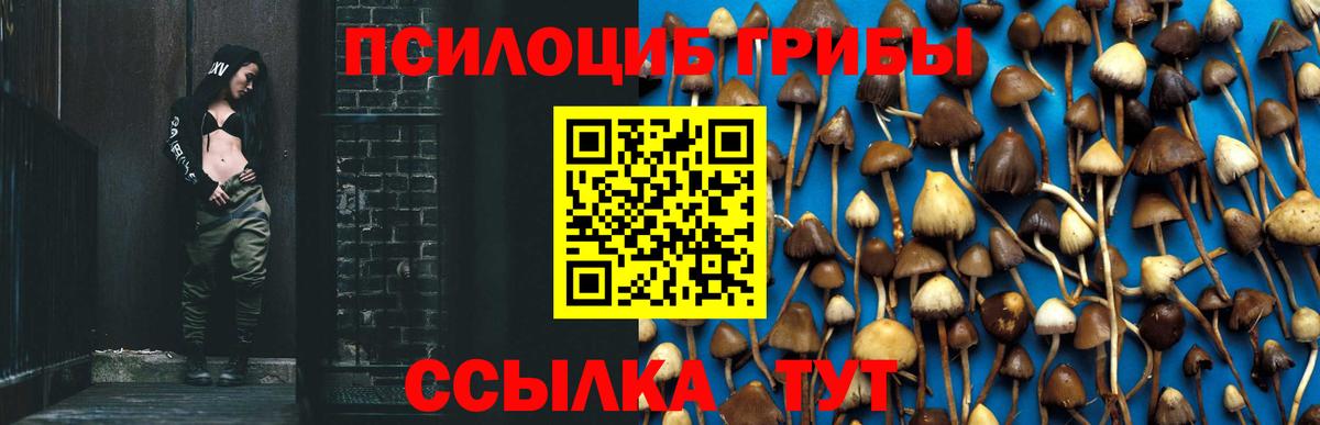 Псилоцибиновые грибы GOLDEN TEACHER  Вход с VPN  Холмск  Псилоцибиновые грибы Magic Shrooms 
