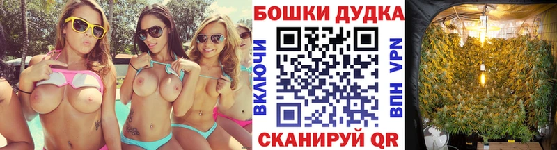 дарнет шоп  Холмск  Бошки Шишки гибрид 